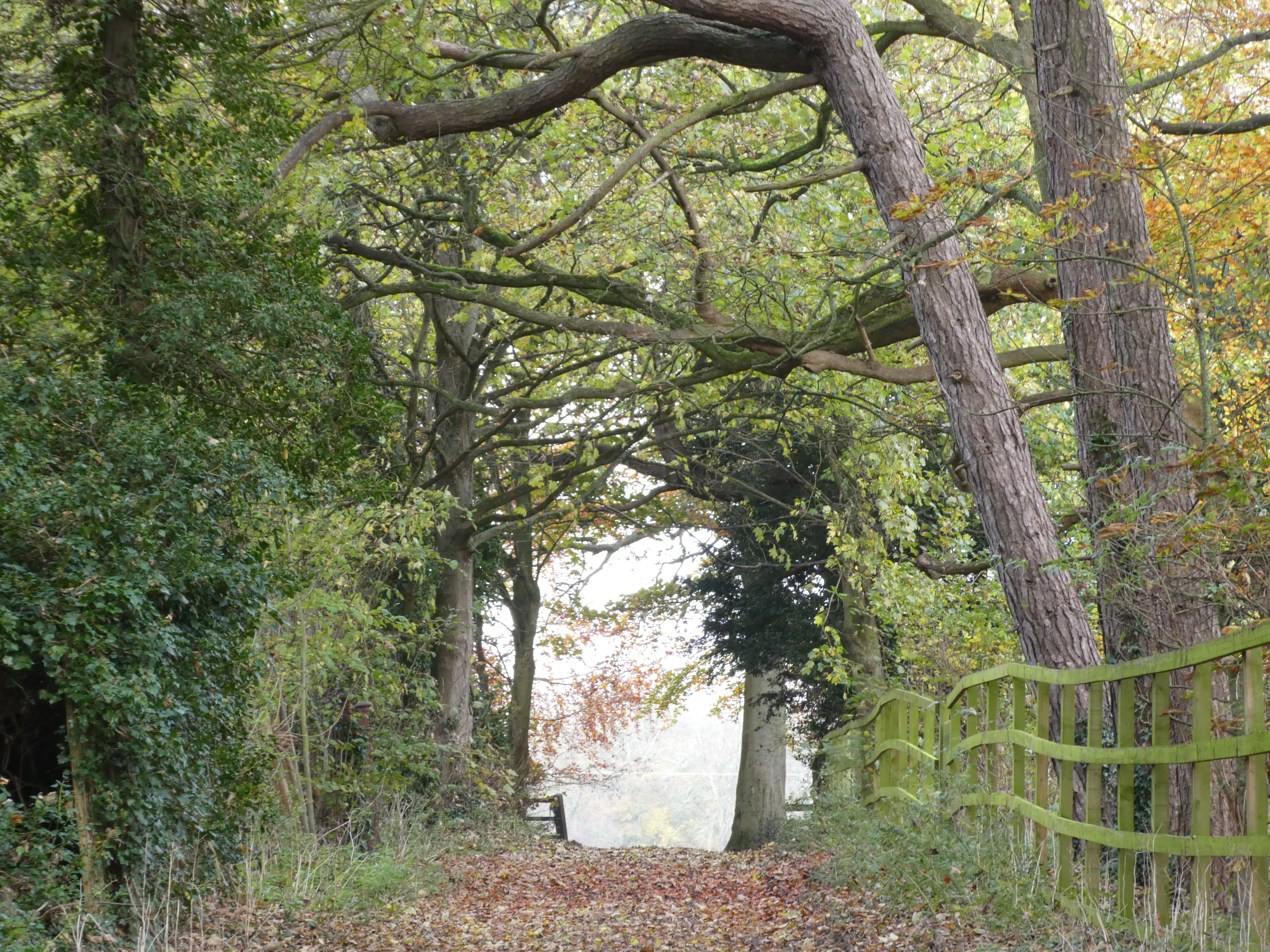 Brent Pelham Footpath